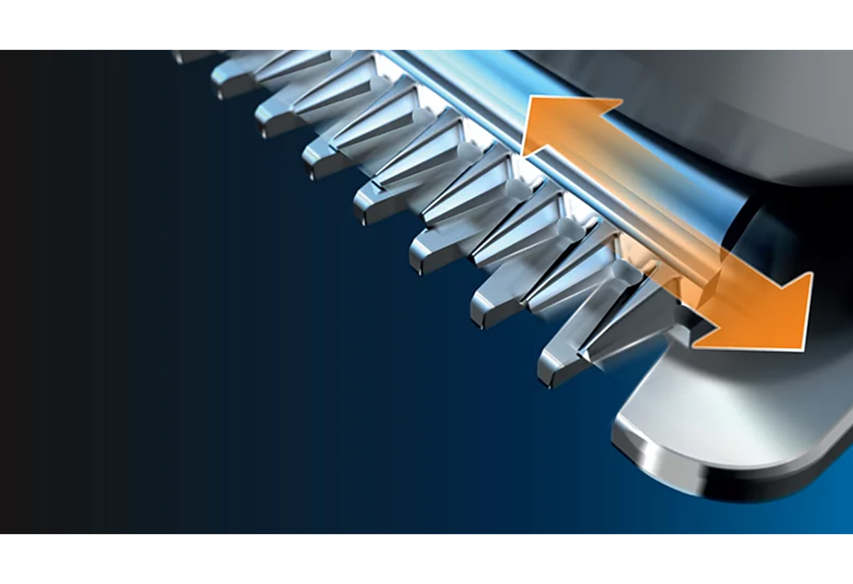 Απεικονίζονται οι διπλές λεπίδες.